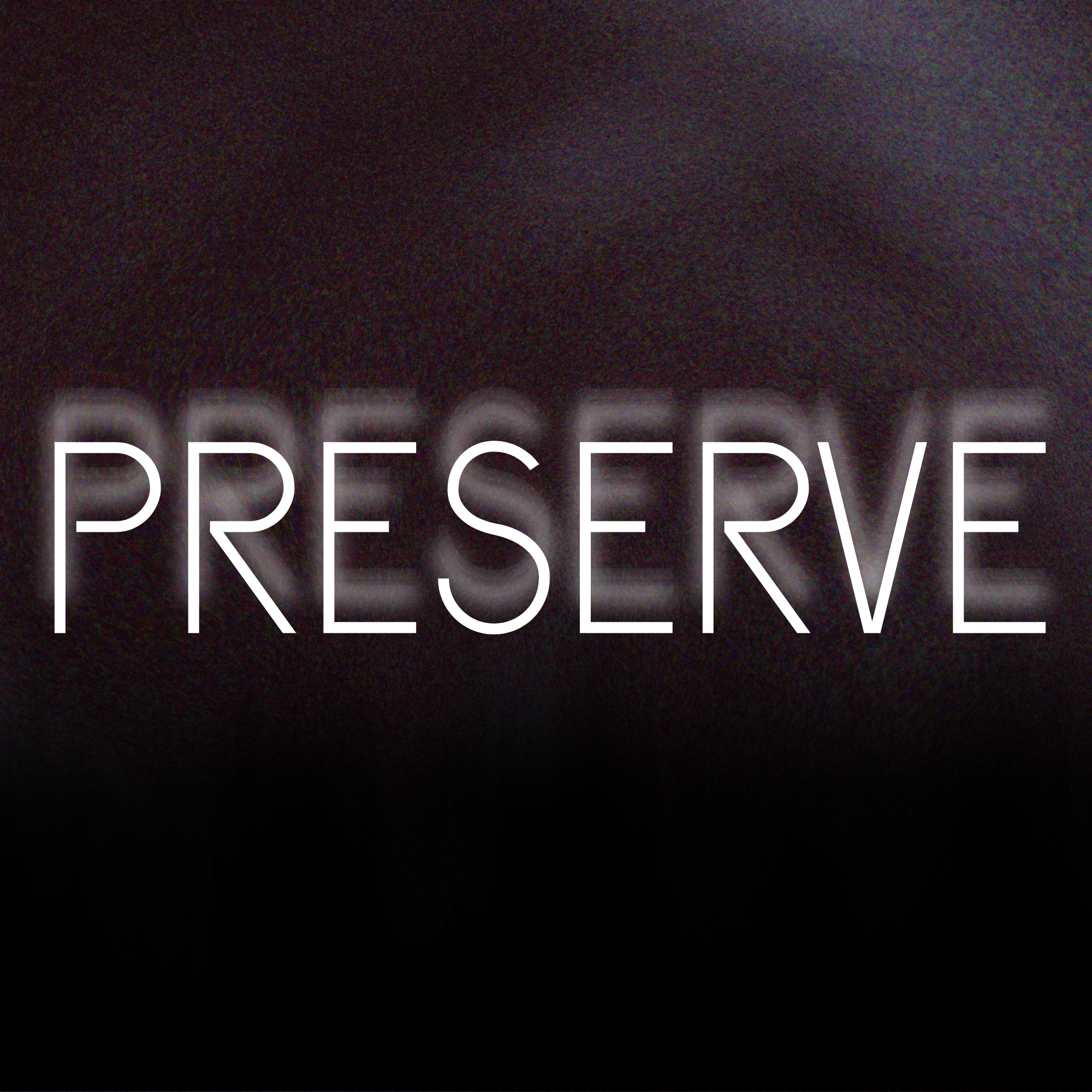 Image featuring a faded static background. In front, the text "Preserve" is written with echoes of itself vanishing behind and eventually disappearing into the static imagery.
