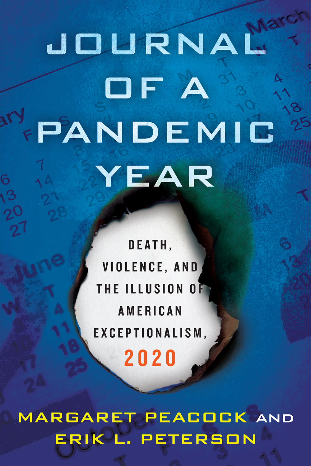 cover of Journal of a Pandemic Year book